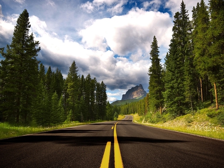 Beautiful Route to Castle - clouds, trees, sunny, road, route, nature, view, clear, castle, sky