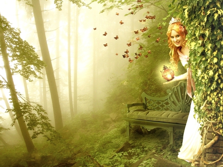 THE TREASURE HUNT - magic, fog, treasure, butterflies, princess, forest, light