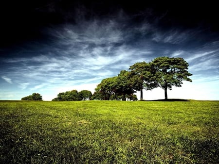 Dark Beautiful Nature - nature, sky, view, trees, clouds, beautiful, scencery, grass