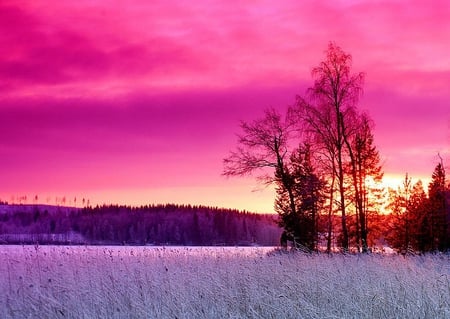 Pink Clouds - clouds, picture, cool, pink, mixed