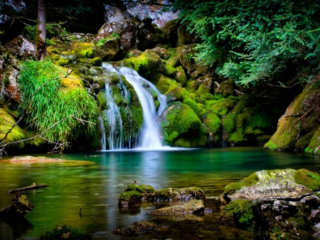 garden-waterfall - branches, rockes, trees, water, waterfall, clean, nature, view, grass, garden