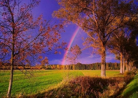 Rainbow - nature, rainbow, other, beautiful