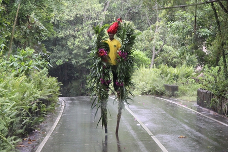 Jamaican with flowers  - man, red, rain, photography, green, jamaican, flowers, road