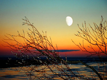 sunset - beauty, sky, beach, trees, peaceful, water, sunset, storm, view, reflection, stormy, sand, ocean, lake, landscape, lovely, nature, beautiful, splendor, colors, sea