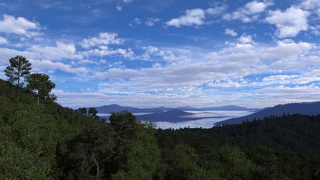 Sky - nature, sky, forests, blue