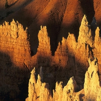 Morning Light Bryce Canyon, National Park, Utah