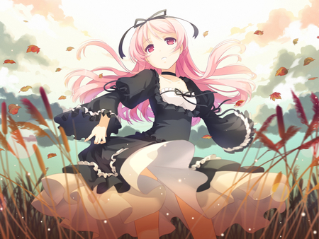 Ruri Himemiya - anime, anime girl, original, dress, long hair, ruri himemiya, garden, cute girl, sakura petals