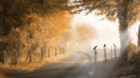 Raven Road - autumn, trees, countryside, digital, ravens, road, birds