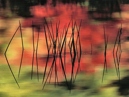 Eagle Lake F - scenery, melford, photography, photo, michael melford, acadia national park, lake, maine, waterscape