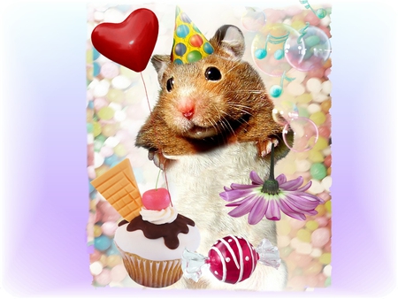 Happy Birthday - hamster, cake, love, birthday