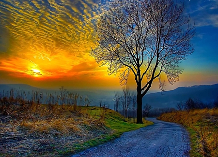 Sunset - nature, other, sunse, beautiful