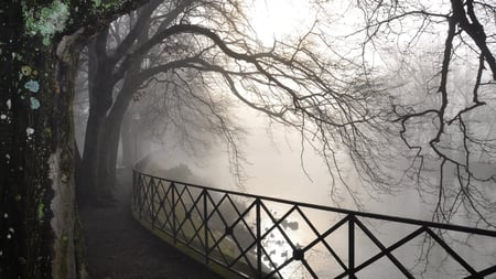 fog - sky, trees, peaceful, sunset, reflection, river, romance, tree, sailing, lovely, nature, pier, town, romantic, splendor, fog, sea, sunrise