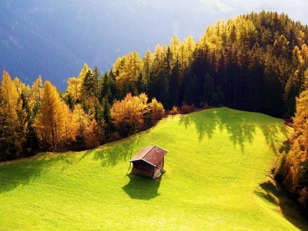 Small house - house, nature, beautiful, landscape, field, forest, cottage