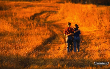 sunset lovers - walking, field, sunset, lovers