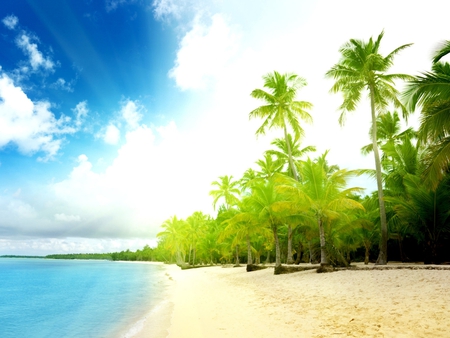 Beautiful Beach - clouds, trees, ray, landscape, sea, ocean, sand, tall, nature, sky