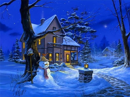 Christmas night - pretty, fantastic, scenery, landscape, snow, lamp, night, forest, dark, peaceful light, birdhouse, house, snowman, trees, winter, entree, beautiful, lovely, christmas, x-mas, lights, peaceful