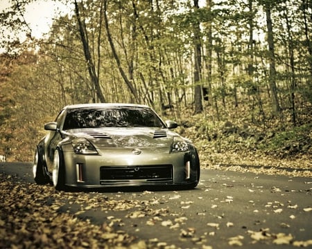 Nissan 350 - fast, trees, car, road