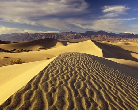 Golden Light Death Valley - sky, golden, sand, dunes