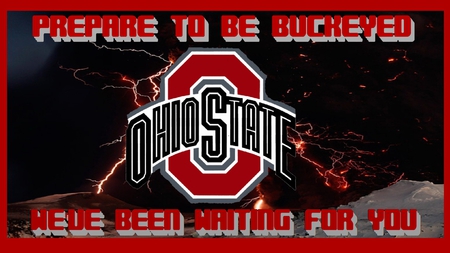 WE'VE BEEN WAITING FOR YOU - football, been waiting for you, ohio, state