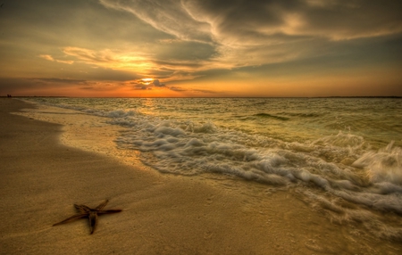 Star Light - sea, star, light, beach