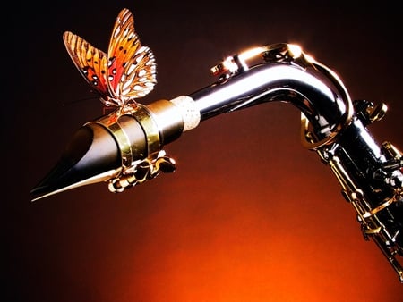 Sax and Butterfly - reed, butterfly, sax, play, music, monarch, orange, instrument