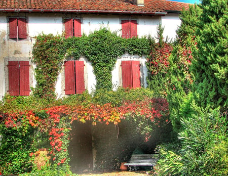 Red windows - beauty, houses, windows, background, red, architecture, green, vegetation