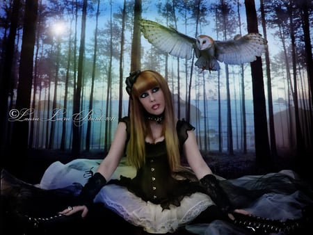 owl_be_there_always - sky, girl, landscape, trees, forest, anime, fantasy, bird