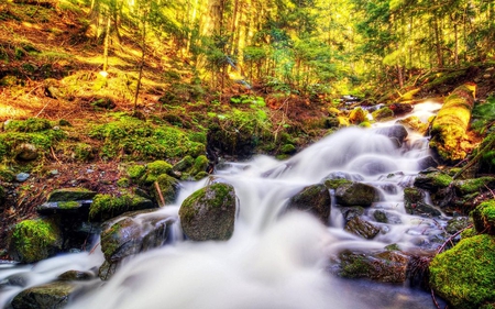 A Corner of Autumn Beauty - trees, branches, water, roots, beautiful, leaves, rockes, river, nature, autumn