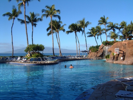 Swimming Pool - ocean, beach, trees, swimming, hotel, palm, pool