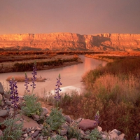 Sierra Ponce and Rio Grande Texas