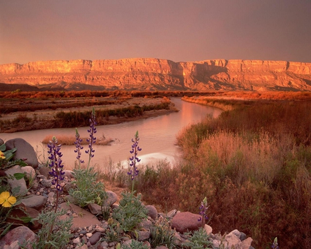 Sierra Ponce and Rio Grande Texas - flowers, water, canyon, sky