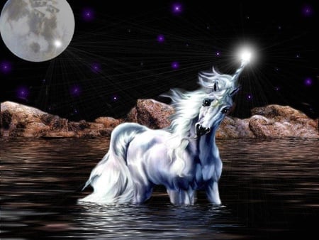 Unicorn - horses, moon, animals, unicorn