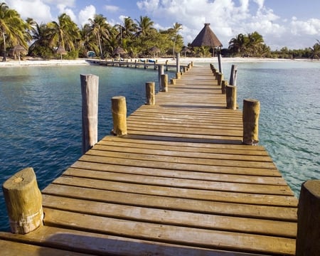 Island Contoy Cancun Yucatan Mexico - sand, pier, trees, water