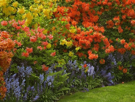 Flower Haven ! - flowers, colourful, grass, garden