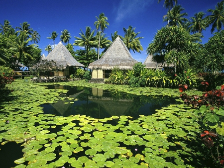 cottages - lillies, nature, cabin, green