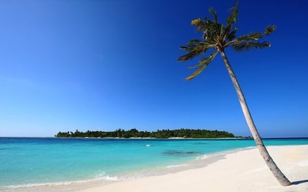 Pefect Peacful Beach - alone, beach, perfect, ocean, tree, sea, nature, peacful, calm