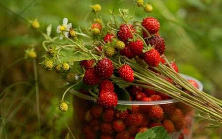 Strawberry - fruit, strawberry, nature, delicious