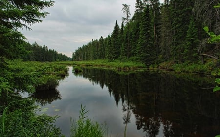 Alpine Lake - nature, quiet, lake, forest, alpine