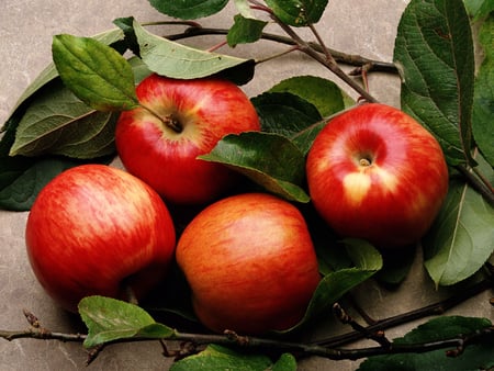 Red Apples - abstract, delicious, photography, four, apples, nature, red, green, leaf