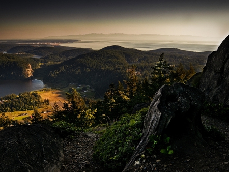 View from Mounts - clouds, horizon, trees, branches, hills, view, moluntains, sky