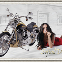 HARLEY SOFTTAIL & MEGAN FOX