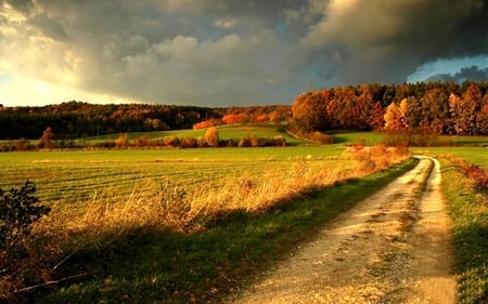 Country Road - nature, fields, beautiful, green, road