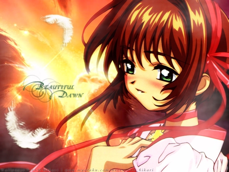 Sakura - sakura, ccs, card captor sakura, card captors, sakura kinomoto