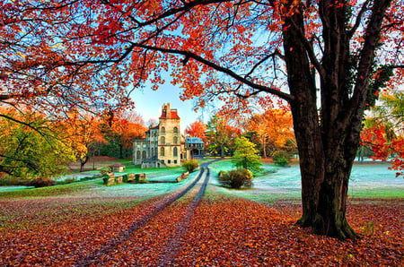 Autumn path - red, path, mansion, green blue sky, leaves, gold, orange, tree, autumn