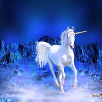 Fantasy Unicorn