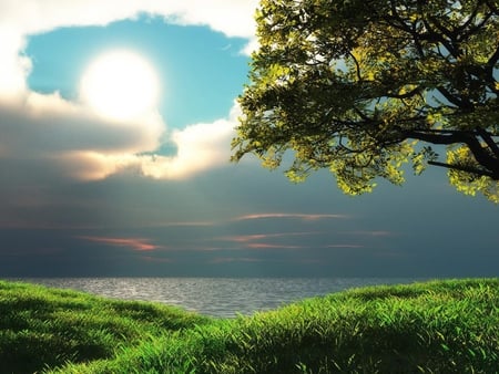 Eye in the Sky! - river, trees, blue, peaceful, sky