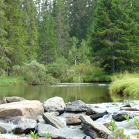 calm water