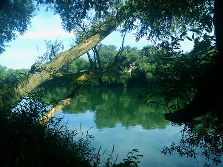 Summer Tranquility - tranquility, green, croatia, river