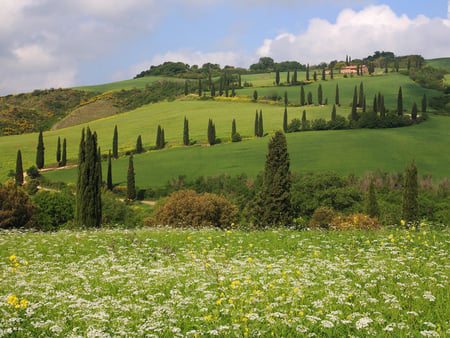 Hills of Tuscany - pasture, hills, nature, tuscany, grass