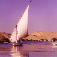 Purple Nile